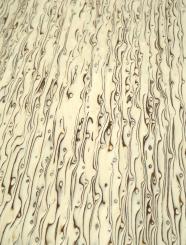 Maserbirke Furnier Birke Maser SaRaiFo burl wild 250x63-64cm 