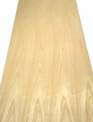 Esche Furnier Eschen Furnierholz mit Vlies 230x60-62cm 