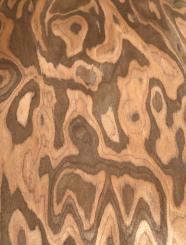 Palisander Wurzelholz Furnier SaRaiFo Maser 250x63-64cm 