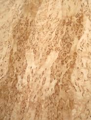 Birke Maser Holzfurnier Maserbirke D 87x38-40cm 2 Blätter 