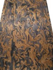 Makassar Maser SaRaiFo Furnier Wurzelholz burr 250x31cm 