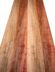 Indischer Apfelbaum Tineo Holzfurnier 167x24-25cm 4 Blätter 