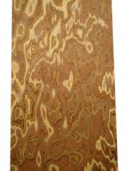 1x Olivenholz Maser Brett Wurzelholz SaRaiFo 62x20,5cm x 18-21mm 