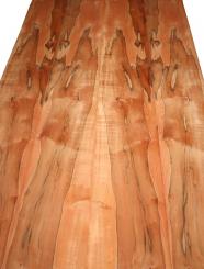 Indischer Apfelbaum Tineo Holzfurnier 249x24-26cm 2 Blätter 