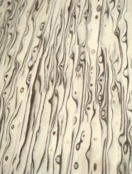 Maserbirke Holz Birke Maser Brett SaRaiFo 83x21,5cm x 50mm 