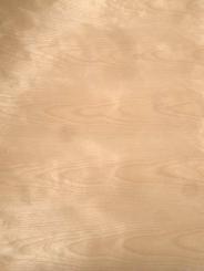 Birke Furnier Birken Furnierholz mit Vlies 250x62-64cm 