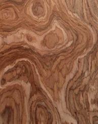 Hazel Maser Furnier Wurzelholz SaRaiFo Nussbaum 250x30-31cm 