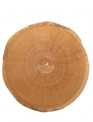 Eichen Hirnholz Furnier Crosscut dünn mit Vlies 2x 40-45cm 