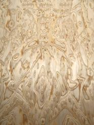 Eiche Wurzelholz Furnier Maser SaRaiFo 250x31-32cm x 0,5mm 