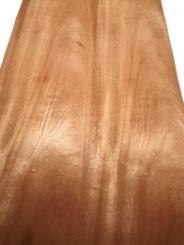 Mahagoni Furnier Echtholzfurnier mit Vlies 250x31-32cm x 0,60mm 