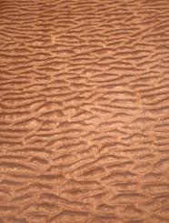 Muschel Furnier Pommele SaRaiFo Quilted Wood braun 250x33cm 