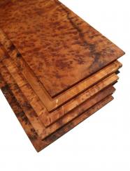 1x Thuja Wurzelholz Thuya Maser 35x14-15cm x 5-7mm #1 