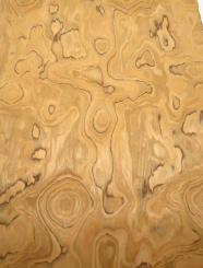 Wildolive Holzfurnier SaRaiFo Olivenholz Furnier 250x65cm 