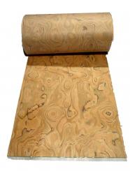 Wild Olive Holzfurnier SaRaiFo Olivenholz Furnier 250x32cm 