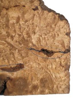 Golden Madrona Wurzelholz Maserholz 31x35x13cm 