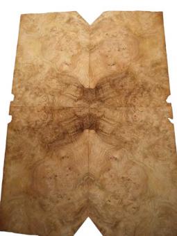 Eiche Maser Furnier Wurzelholz Maserholz Z 50x36cm 4 Blätter 