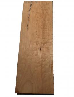 Muschel Ahorn Holz quilted maple Tonholz 63x22cm 49mm 