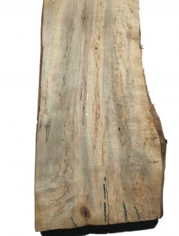 Birken Maser Holz Maserbirke Tonholz 71x16/19cm 58/62mm 
