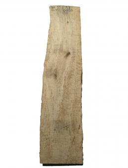 Birken Maser Holz Maserbirke Tonholz 77x16/18cm 40/50mm 