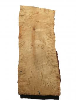Birken Maser Holz Maserbirke Tonholz 49x19/22cm 77/80mm 