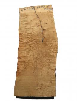 Birken Maser Holz Maserbirke Tonholz 57x22/24cm 76/80mm 