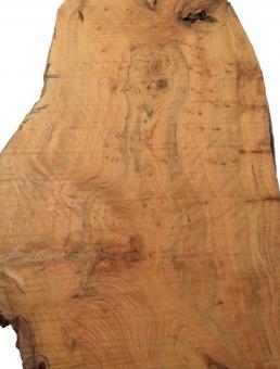 Thuja Maser Wurzelholz Thuya Epoxid Holz burl 70x12-29cm 63/65mm 