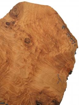 Thuja Maser Wurzelholz burl Thuya burr 47x30cm 31mm 