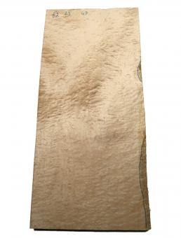 Muschel Ahorn Holz Quilted Maple Tonholz 62x29cm x 47mm 