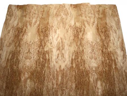 Birke Maser Holzfurnier Maserbirke Intarsie X 88x28-29cm 2 Blätter 