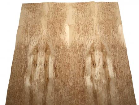 Birke Maser Holzfurnier Maserbirke Intarsie X 80x17-21cm 4 Blätter 