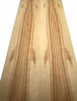 Olivesche Furnierholz Eschenholz Riegel 1i 160x19-21cm 2 Blätter curly 