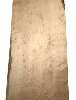 Vogelaugenahorn Holz Vogelaugen Tonholz 74x23cm x 48mm 