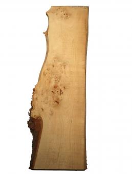 Ulme Rüster gemasert Brett Maserholz 125x31-37cm x 22-23mm 