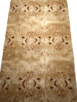 Pappel Maser Wurzelholz dünnes Furnier mit Papier 250x60-63cm V4 