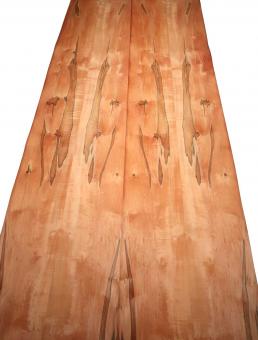 Indischer Apfelbaum Furnier Tineo 3K 245x26-28cm 2 Blätter 