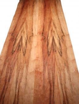 Indischer Apfelbaum Holzfurnier Tineo 3P 294x29-32cm 2 Blätter 