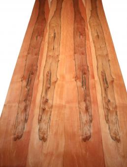 Indischer Apfelbaum Holzfurnier Tineo 3G 240x27-29cm 2 Blätter 