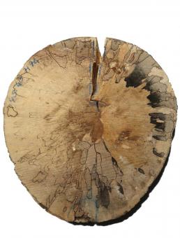 Gestockte Buche Holz runde Baumscheibe 43-45cm x 71-74mm 