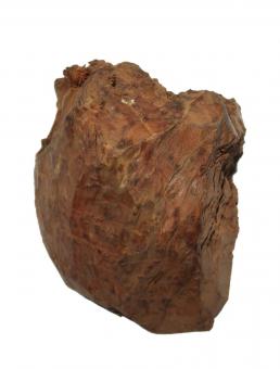 Thuja Wurzelholz Thuya Maser Drechseln 25x22x12cm 