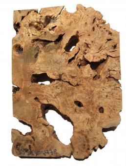 Oliven Wurzelholz Maser Epoxid Holz Drechseln 55x32-40cm x 77-78mm 