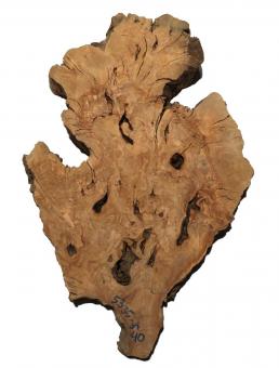 Oliven Wurzelholz Baumscheibe Olivenbaum 53x35cm x 39-40mm 