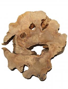 Oliven Wurzelholz Baumscheibe Olivenbaum 49x43cm x 34mm 