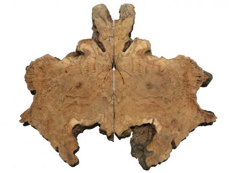 2x Oliven Wurzelholz Maserholz Epoxid Holz 61x35cm x 42mm 