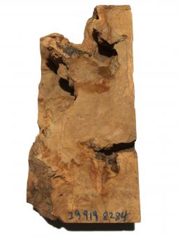 Oliven Wurzelholz Maser Epoxid Holz Drechseln 39x9-19cm x 82-84mm 