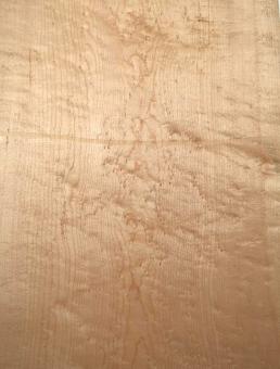Vogelaugenahorn Holz Vogelaugen Tonholz 61x27,5cm x 36mm 