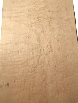 Vogelaugenahorn Holz Vogelaugen Tonholz 66x26,5cm x 48mm 