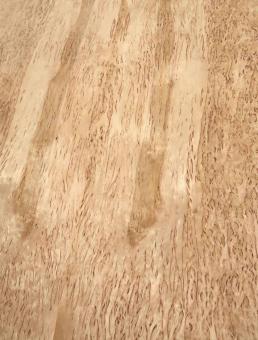 Birke Maser Holzfurnier Maserbirke Intarsie 1G 80x26cm 2 Blätter 