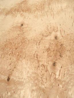 Birke Maser Holzfurnier Maserbirke Intarsie 1i 72x59-60cm 2 Blätter 