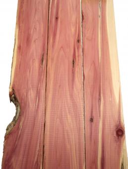 3x Aromatische Rotzeder Zeder Holz 78x8-10cm x 24mm 
