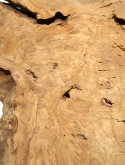 2x Oliven Wurzelholz Maserholz Epoxid Holz 52x29cm x 28-30mm 
